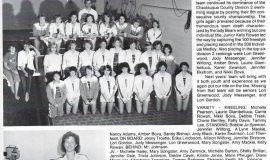 Frewsburg Girls Swimming Team, 1986.