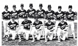 Falconer Central School varsity baseball team. 1982.