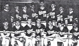 Falconer Central School varsity baseball team. 1989.