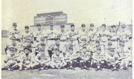 1949 Hollywood Stars team photo.