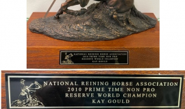 2010 National Reining Horse Association Prime Time.