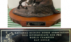2010 National Reining Horse Association Intermediate.