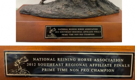 2010 National Reining Horse Association  Southeast Regional Finals.