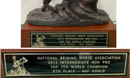 2013 National Reining Horse Association 8th place.