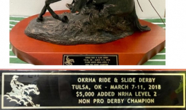 2018 OKRHA Ride & Slide Derby.