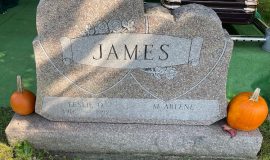 Les James grave marker.