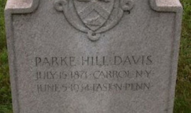 Parke Hill Davis grave marker.