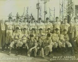 1942 Jamestown Falcons. Lyle Parkhurst is in second row, third from left. 1942 Jamestown Falcons