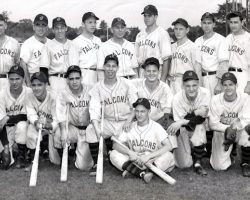 The 1944 Jamestown Falcons include Lyle Parkhurst, third from right in the back row. Nellie Fox is kneeling first row far right. 1944 Jamestown Falcons baseball team..