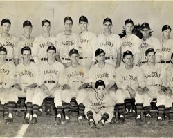 1946 Jamestown Falcons.
Ted Wyberanec is in the back row, 4th from the right. 1946 Jamestown Falcons.