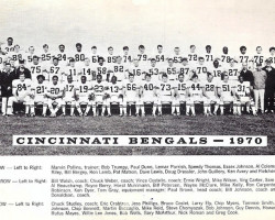 1970 Cincinnati Bengals. Bergey is #66 in the middle of the bottom row. 1970cincinnatibengals