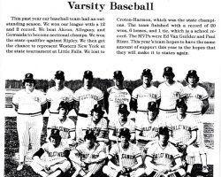 Falconer Central School varsity baseball team. 1981. Falconer Central School varsity baseball team. 1981.