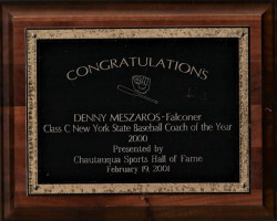 Chautauqua Sport Hall of Fame achievement award for winning 2000 Class C Baseball championship. February 19, 2001. Chautauqua Sport Hall of Fame achievement award for winning 2000 Class C Baseball championship. February 19, 2001.