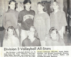 Division 3 Volleyball All-Stars. <em>Post-Journal</em> (Jamestown), November 22, 1990. Division 3 Volleyball All-Stars. November 22, 1990.
