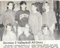 Division 3 Volleyball All-Stars. <em>Post-Journal</em> (Jamestown), November 22, 1990. Division 3 Volleyball All-Stars. November 22, 1990.