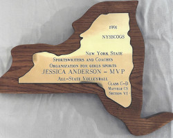 Jessica Anderson, MVP All-State volleyball. 1991. Jessica Anderson, MVP All-State volleyball.