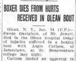 <em>North Tonawanda Evening News, </em> January 14, 1930. North Tonawanda Evening News, January 14, 1930.