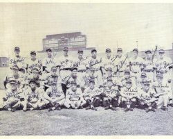 1949 Hollywood Stars team photo. John O'Neil is second from left in front row. 1949 Hollywood Stars team photo.