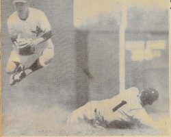 Johnny Jump Up. 1950. Johnny Jump Up. 1950.