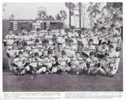 1951 Hollywood Stars team photo. John O'Neil in front row, third from left. 1951 Hollywood Stars team photo.