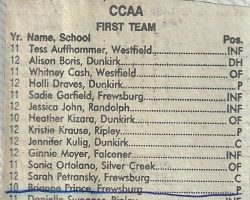 CCA. <em>Post-Journal</em> (Jamestown), 1996. CCA. 1996.