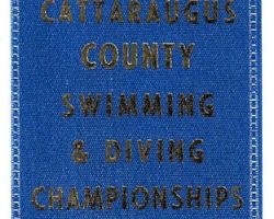 Brianne Prince, Chautauqua Cattaraugus County Swimming & Diving Championships, first place 100 yard butterfly, 1997. Brianne Prince, Chautauqua Cattaraugus County Swimming & Diving Championships, first place 100 yard butterfly, 1997.