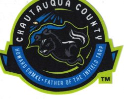 2025 Jamestown Tarp Skunks patch. 2025 Jamestown Tarp Skunks patch.