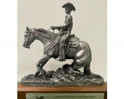 2008 NRHA 9th Place. 2008 NRHA 9th Place.