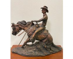 2010 National Reining Horse Association Prime Time. 2010 National Reining Horse Association Prime Time.