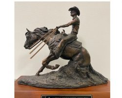 2010 National Reining Horse Association
Southeast Regional Finals. 2010 National Reining Horse Association Southeast Regional Finals.