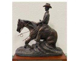 2013 National Reining Horse Association 8th place. 2013 National Reining Horse Association 8th place.