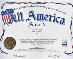 100 Yard Freestyle All America Award. 1986. 100 Yard Freestyle All America Award. 1986.