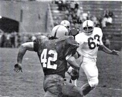 Bob Barlette, #42 running for Syracuse University. Bob Barlette, #42 running for Syracuse University.