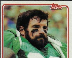 Bill Bergey trading card, Topps - 1981. Bill Bergey trading card, Topps - 1981.