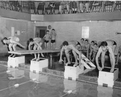 Bill Radack in lane 2. 1954. Bill Radack in lane 2. 1954.