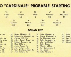 Chicago Cardinals starting roster. Cardinals starters