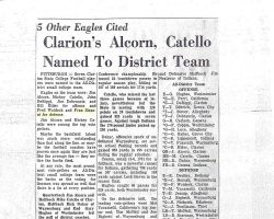 Clarion's Alcorn, Catello Named To District Team. Clarion's Alcorn, Catello Named To District Team.