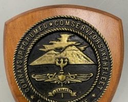 Commander Naval Surface Force in the Mediterranean and Commander Naval Surface Force Sixth Fleet. Commander Naval Surface Force in the Mediterranean and Commander Naval Surface Force Sixth Fleet.