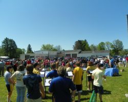 Falconer band Falconer band (2)