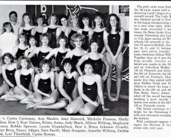 Frewsburg Girls Swimming Team, 1988. Frewsburg Girls Swimming Team, 1988.
