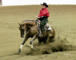 Kay Gould. 2010. Kay Gould. 2010.