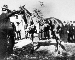 Vincent Powers on 1909 Kentucky Derby winner Wintergreen. Vincent Powers on 1909 Kentucky Derby winner Wintergreen.