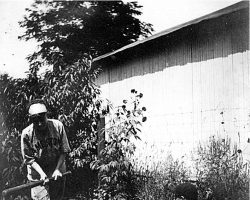 Jamestown player. Jamestown player.