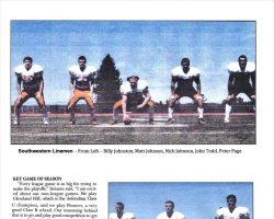 Southwestern Trojans. Page 3. <em>Post-Journal</em> (Jamestown) Gridiron feature, 2014. Southwestern Trojans. Page 3. Gridiron feature, 2014.