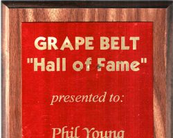 Grape Belt Hall of Fame plaque. March 2, 2003. Grape Belt Hall of Fame plaque. March 2, 2003.