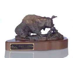 Shane Conlan by Michael Hamby. Shane Conlan by Michael Hamby.