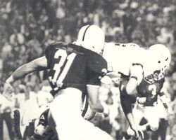 <em>The Perfect Season</em> by M.G. Missanelli. Chapter 2 - page 10. The Perfect Season. Chapter 2 - page 10.