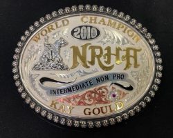 Intermediate Non Pro, 2010. Intermediate Non Pro, 2010.