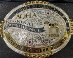 Novice Amateur Reining, 2009. Novice Amateur Reining, 2009.