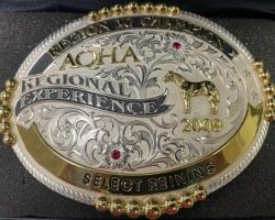 Select Reining, 2009. Select Reining, 2009.